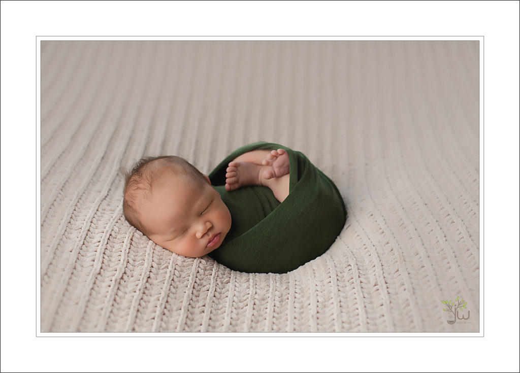 Tacoma baby photography